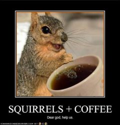 squirrelzcoffee.jpg