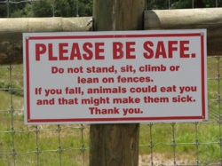 funny-picture-pics-sign-tenioman.jpg