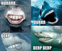 shark_derp_durr_hurr.jpg