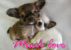 much_love-1928.jpg