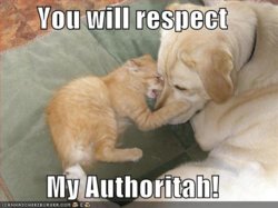 youwillrespect128472899718607569.jpg