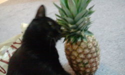 2011-11-01 17.56.47.jpg