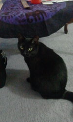 2011-10-22 16.56.22.jpg