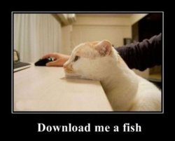 funny download me a fish.jpg