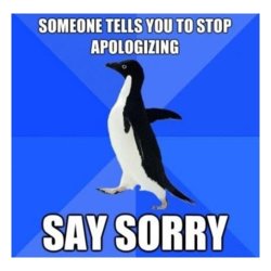 funny say sorry 51.jpg