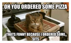 funny ordered some pizza 40.jpg