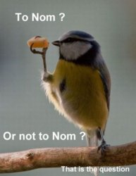 funny to nom or not to nom.jpg