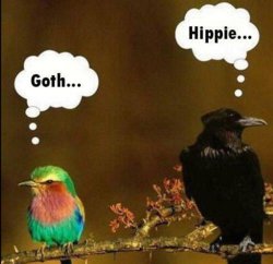 funny Goth..Hippie.jpg