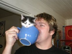 funny cup of catfiene.jpeg