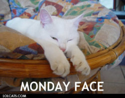 funny monday face.jpg