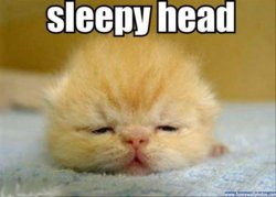 funny sleepy-head.jpg