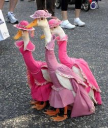 goose_dresses.jpg