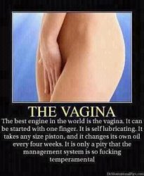 vagina.jpg