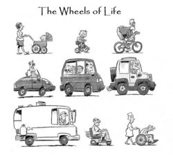 funny wheelsoflife.jpg