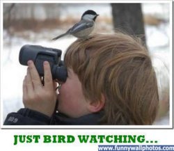 funny bird-watching.jpg