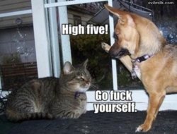 funny High_Five329.jpg