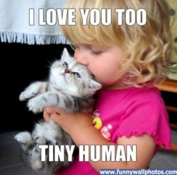 funny tiny-human.jpg