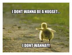 funny I dont wanna be a nugget.jpg