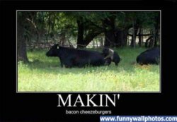 funny bacon-chzburgers.jpg