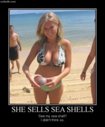 funny She_Sells_Sea_Shells.jpg