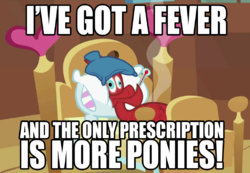 PonyFever.jpg