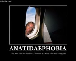 funny Anatidaephobia.jpg