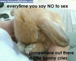 funny bunny-cry.jpg