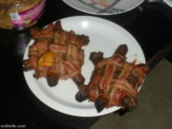 funny bacon I_Like_Turtles197.jpg