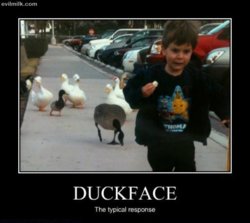 funny Duckface_Response.jpg