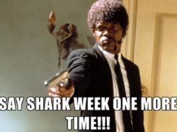 278955-shark-week.jpg