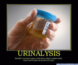 funny urinalysis.jpg