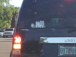 funny hello kitty  peen.jpg