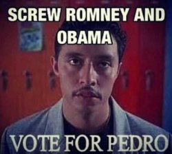 Vote+for+pedro.+Hey+Napoleon.+What+did+you+do+last_9d722e_4143227.jpg