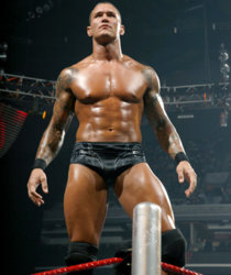 randyorton4u.com_.jpg