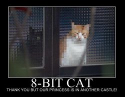 8-bit-cat.jpg