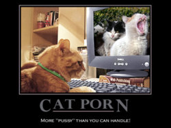 cat_porn_demotivator_by_sargonr-d4r3w32.jpg