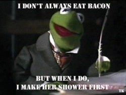 funny bacon shower.jpg