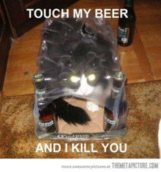 funny-cat-inside-bottle-package.jpg