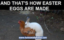 funny how-easter-eggs-are made.jpg