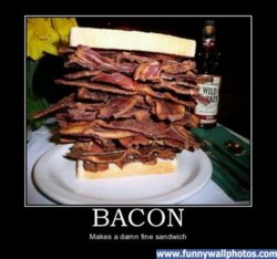 funny bacon-sandwich.jpg