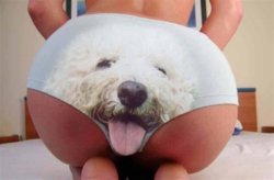 sexy-dog-licking-underwear-booty_large.jpg