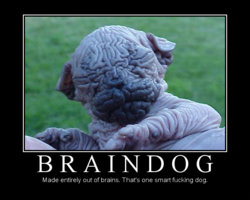 braindog-made-entirely-out-of-brains-that-39-s-one-smart-fucking-dog.jpg