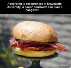 funny Bacon Sandwich.jpg