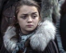 aryastark.jpg