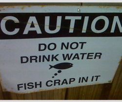 signs-fish-crap.jpg