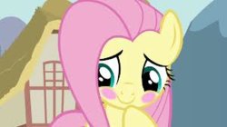 bashful.pony.jpg