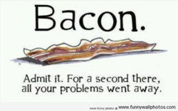 funny bacon all your problems.jpg