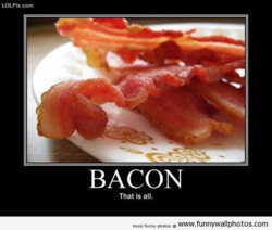 funny bacon1 that is all.jpg