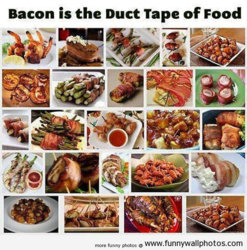 funny bacon-duct-tape-of-food.jpg