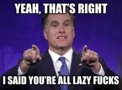 Mitt FU 47 percent.jpg